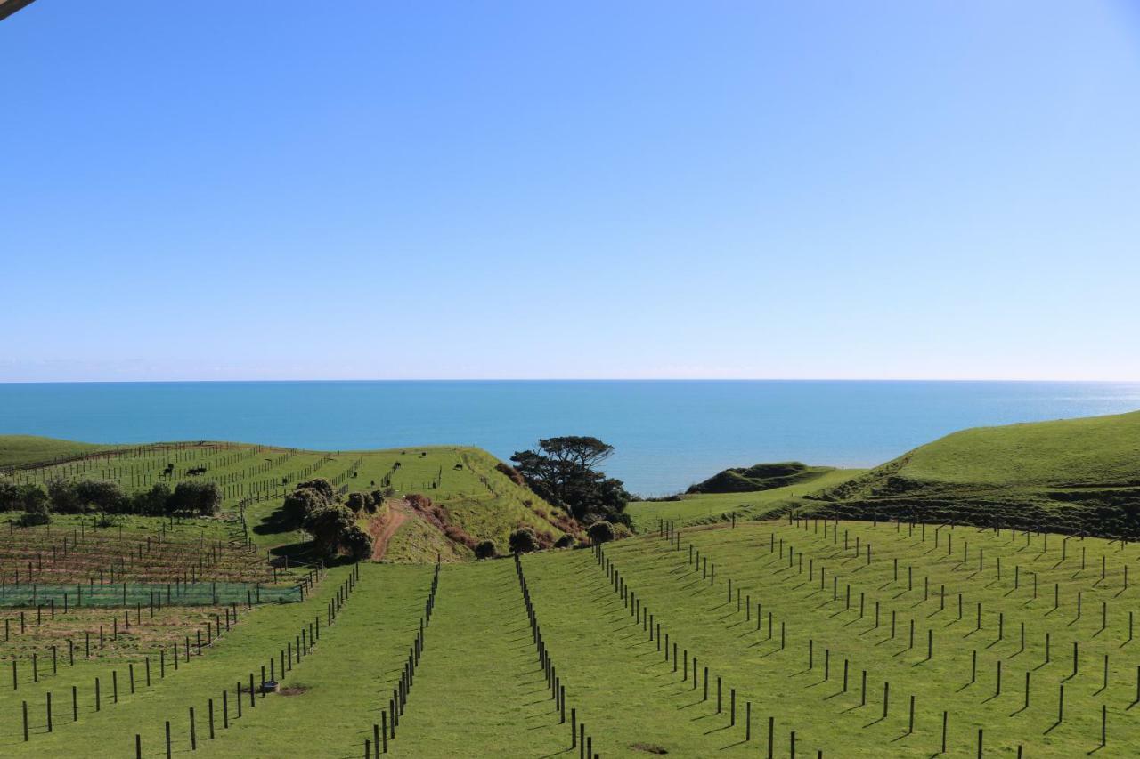 Chalets At Okurukuru New Plymouth Exterior foto