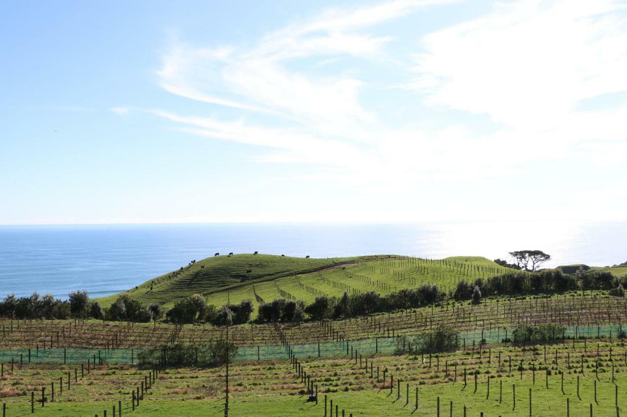 Chalets At Okurukuru New Plymouth Exterior foto